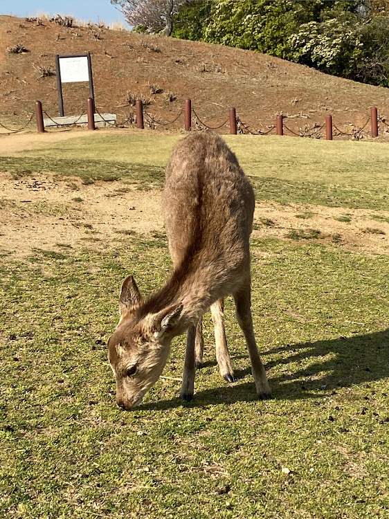 の投稿画像4枚目