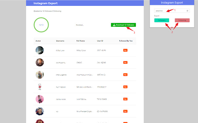 IGExport - Export Ins Followers free chrome extension