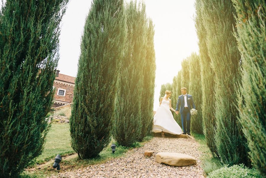 Fotógrafo de bodas Andrey Ionkin (andreystudio). Foto del 27 de octubre 2015