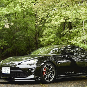 86 ZN6