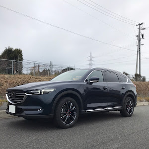 CX-8