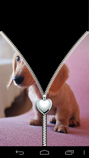 免費下載工具APP|Cute Brown Puppy Lock Screen app開箱文|APP開箱王