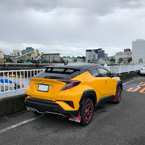 C-HR NGX50