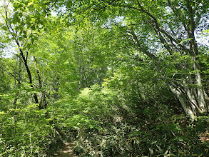 尾根沿いを進む