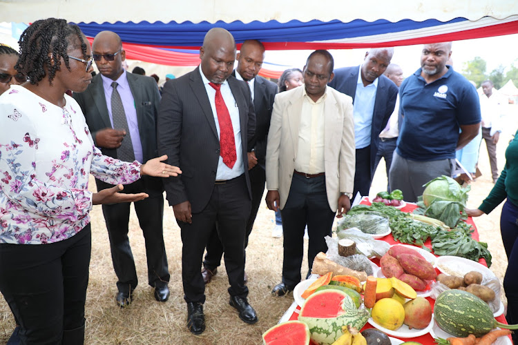 Kitui deputy governor Augustine Kanani ans the USAID East Africa Resilience team leader Earnest Njoroge and other sample variety of farm produce during the Thursday inaugural Kitui County Resilence Knowledge Fair at Ithookwe grounds.