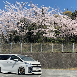 ヴェルファイア