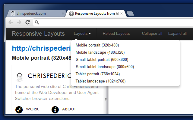 Web Developer Preview image 5