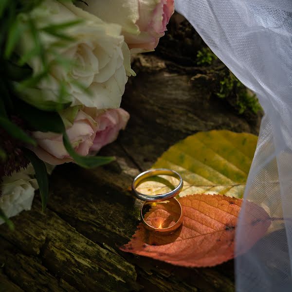 Fotografer pernikahan Lyudmila Onischenko (otcnqrs). Foto tanggal 18 April