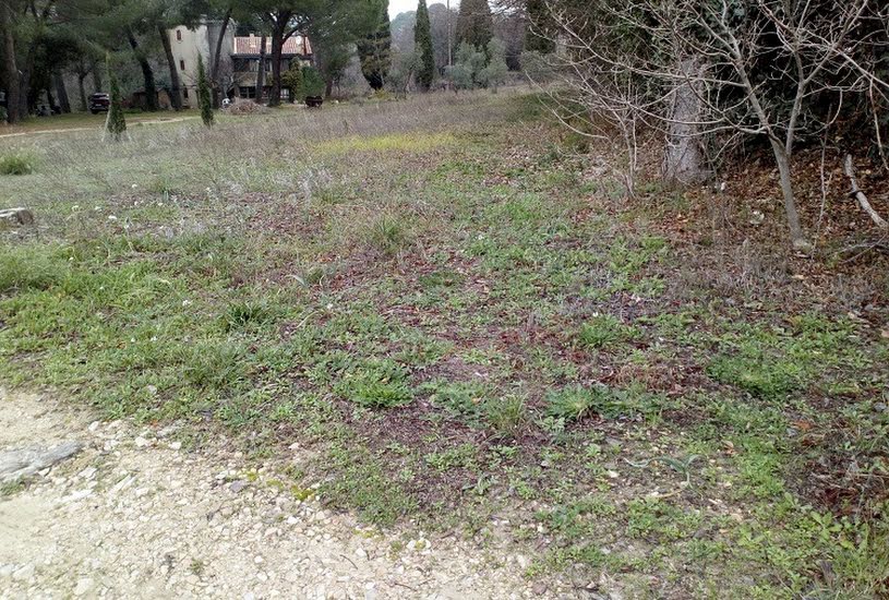  Vente Terrain + Maison - Terrain : 500m² - Maison : 100m² à Cadenet (84160) 