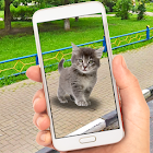 Pocket Cats: Catch & Collect 1.0