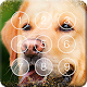 Download Golden Labrador Retriever Dog Puppies Screen Lock For PC Windows and Mac