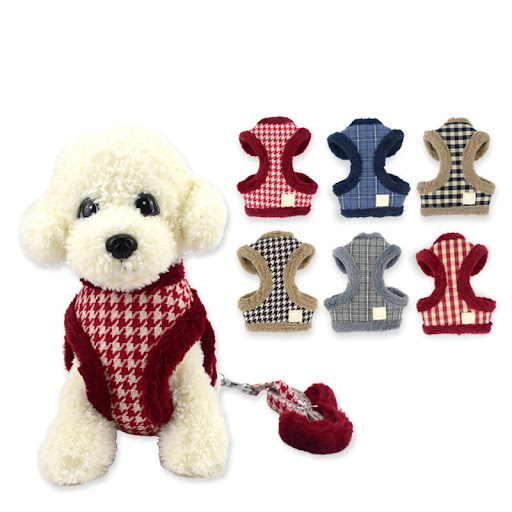 Title 2, Teddy Bichon Dog Autumn and Winter Lead Rope Ch...