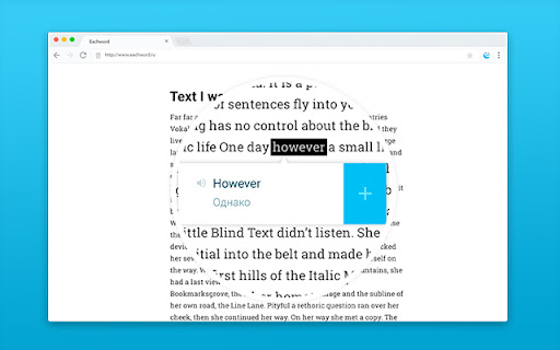 EachWord Translator - expand your vocabulary