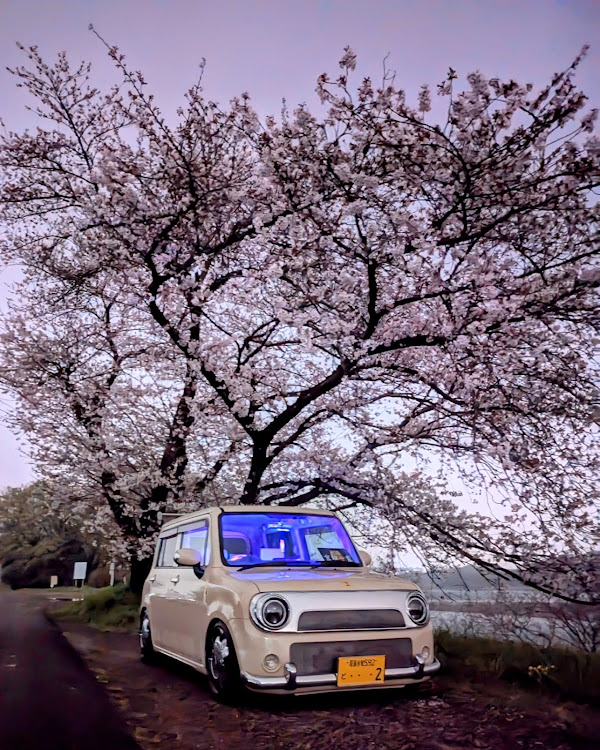 アルトラパンのいつもいいね＆コメントありがとうございます・車が好きな人と繋がりたい・サクラと愛車・桜とコラボ・ラパンに関するカスタム事例の投稿画像1枚目