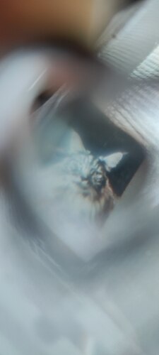 image - 1