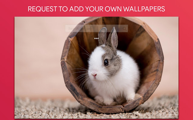 Bunny Wallpaper HD Custom New Tab