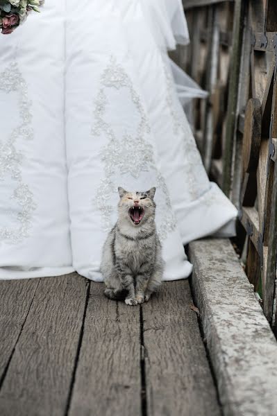 Photographe de mariage Sergey Bebko (neko). Photo du 1 mars 2020