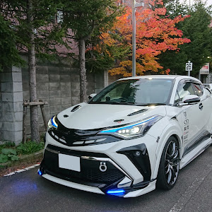 C-HR NGX50