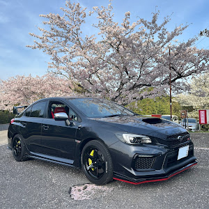 WRX STI VAB