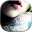 Beauty Plus Tattoo Salon Download on Windows
