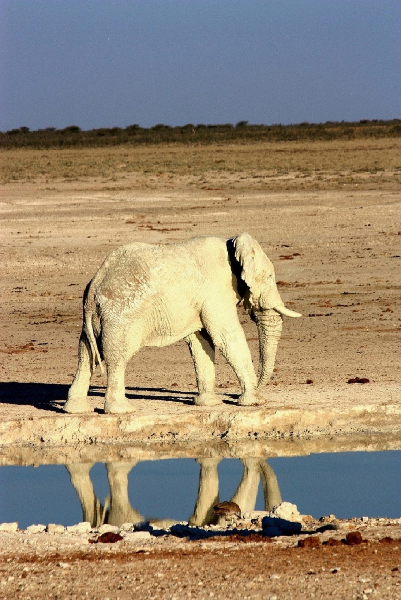 poca acqua e tanta terra di MONINIK73