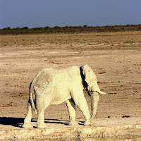 poca acqua e tanta terra di 