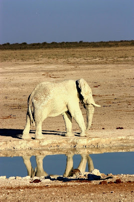 poca acqua e tanta terra di MONINIK73