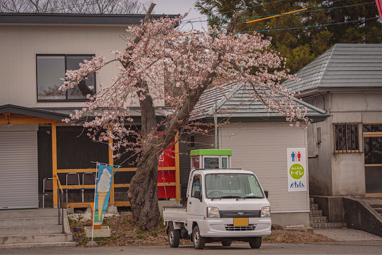  Mokhaさんが投稿した一眼レフ・秋田・桜・軽トラ・ドライブに関するカスタム事例の投稿画像3枚目