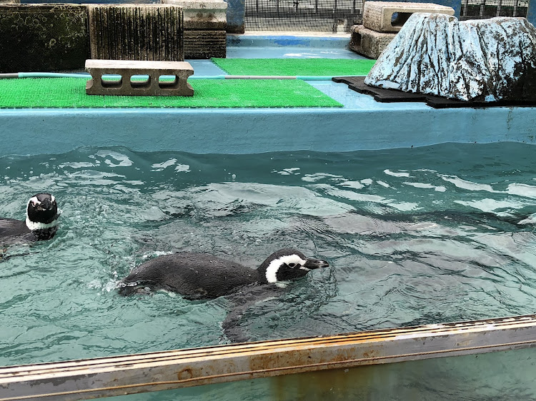 デミオののぶたさんが投稿したカスタム事例の投稿画像3枚目