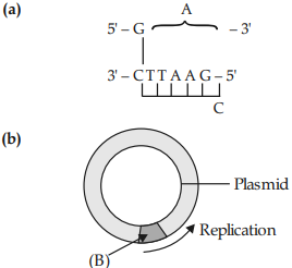 Principles of Biotechnology