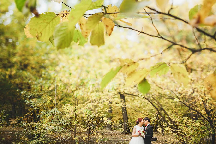 Fotógrafo de casamento Tolik Boev (tolikboev). Foto de 11 de março 2015