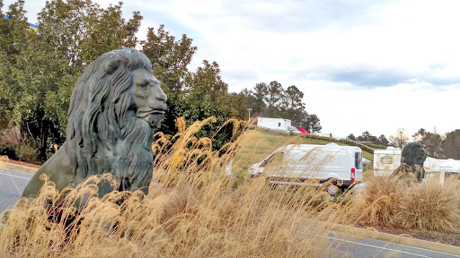 Lion Statues