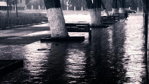 雨の壁紙