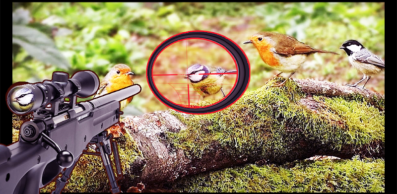 Forest 3D Birds Hunting - Sniper Shooting