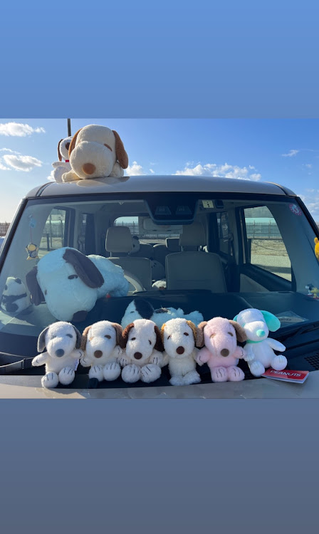 ムーヴキャンバスのにいがた・平日コラボに関するカスタム事例の投稿画像4枚目