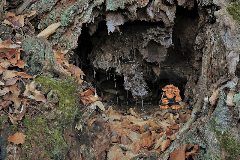 La casa degli gnomi troll di Rosaria_Scrofani