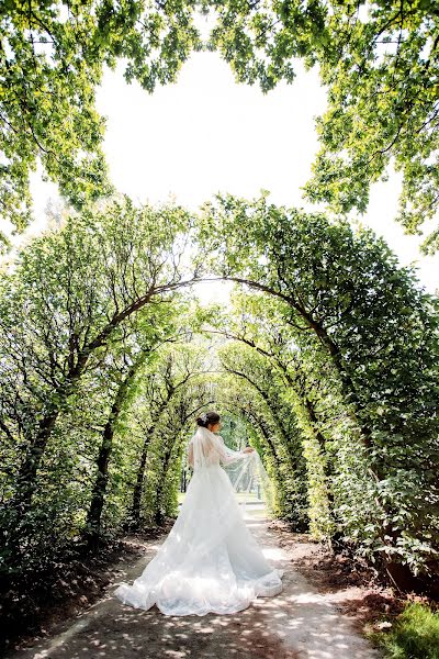 Photographe de mariage Elena Miroshnik (mirlena). Photo du 2 août 2019