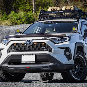 RAV4 AXAH54