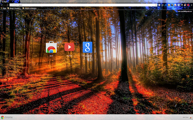 Forest at Autumn for 1366 X 768 chrome extension