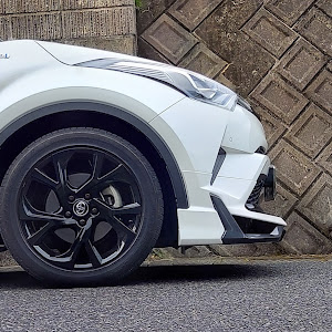 C-HR ZYX10