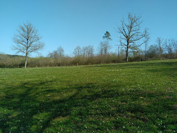 terrain à Loubejac (24)