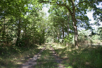 propriété à Lamotte-Beuvron (41)