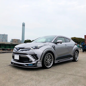 C-HR ZYX10