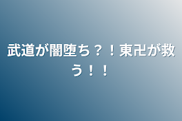 武道が闇堕ち？！東卍が救う！！