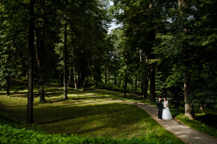 Wedding photographer Anton Serenkov (aserenkov). Photo of 2 September 2017