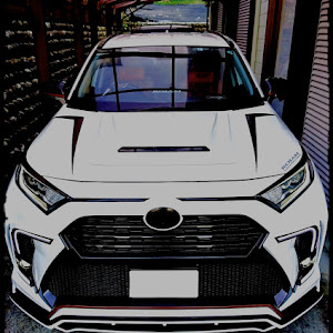 RAV4 AXAH52