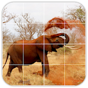 Tile Puzzles · Africa  Icon