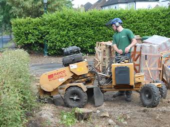 STUMP GRINDING album cover