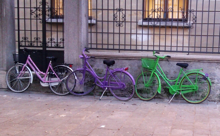 Bicicolor di akiram.cats