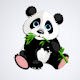 Panda Custom New Tab